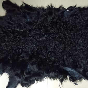 Short curly lamb skin pelt small whole skin